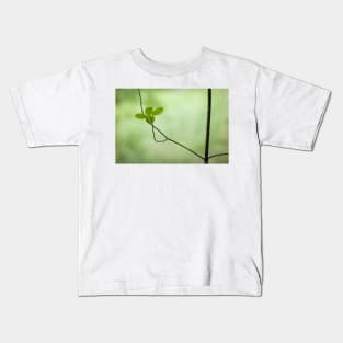 Small young thin tree growing new leaves Kids T-Shirt